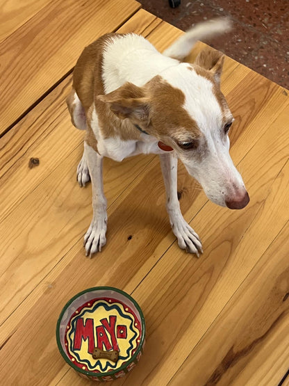 Casa Mayo Mixed Makes: Pamper Your Pet / Candle Making 29/11